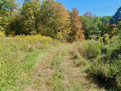 393 B G Partridge Rd, Ashland, NY 12496 - photo 7