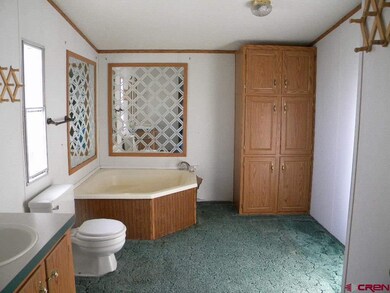 0 Road S unit 759992, Cortez, CO 81321 - photo 5