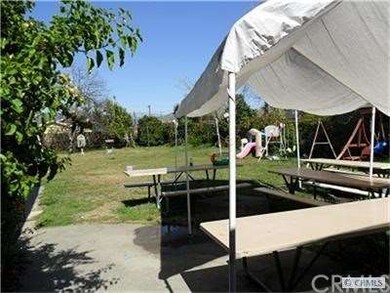 Back yard