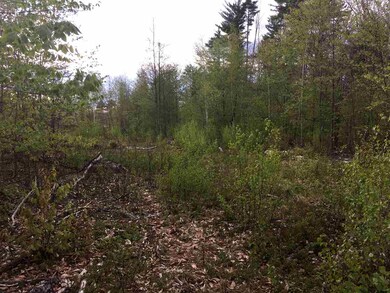 584 Willey Rd, Sanbornville, NH 03872 - photo 4