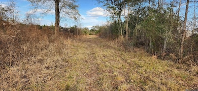 TBD-Tract 1 Gilead Rd, Clinton, LA 70722 - photo 2