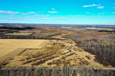 +/-23 Acres Tower Ave, Medford, WI 54451 - photo 2