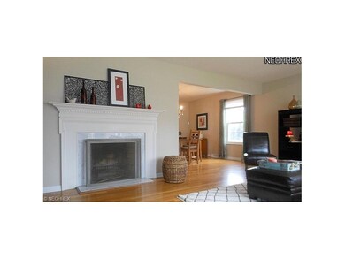 Wood burning fireplace