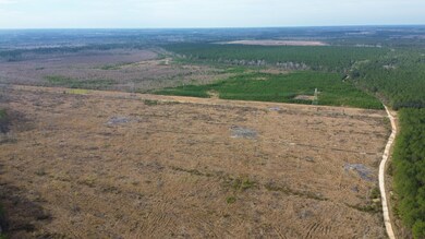 0 Newington Hwy unit 25460805, Sylvania, GA 30467 - photo 5