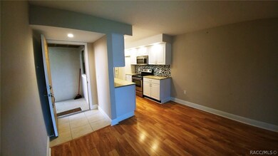 Entrance/Kitchen