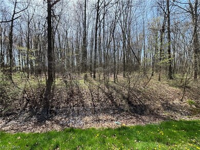 27083 Oakwood Cir unit 115, Olmsted Township, OH 44138 - photo 6