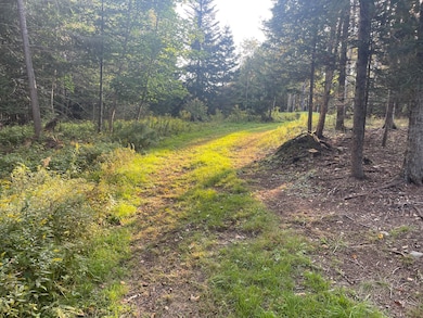 Driveway on the Lot