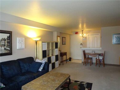 Living Room. Comfortable Floor Pattern with Entry 