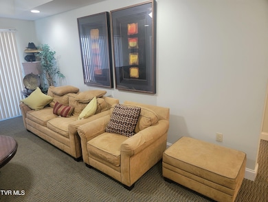 210 Raceday Center Dr unit 1505, Bristol, TN 37620 - photo 6