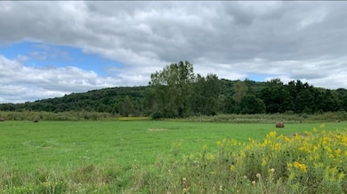 0 Lamor Rd, Mercer, PA 16137 - photo 2