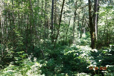 1 Duncan Creek Rd, Stevenson, WA 98648 - photo 6