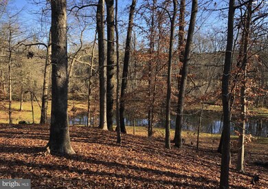 8221 Broad Neck Rd, Chestertown, MD 21620 - photo 6