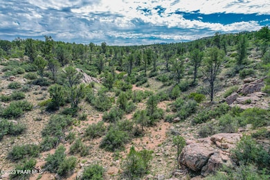 Juniper and Pinon Pine