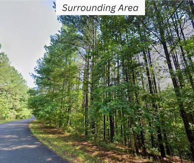 County Route 13, Berkeley Springs, WV 25411 - photo 2