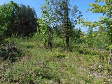 3 Old Bradley Rd unit 3, Saint Johnsbury, VT 05819 - photo 6