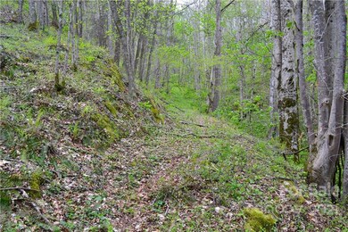 n/a Bald Mountain Rd, Burnsville, NC 28714 - photo 6