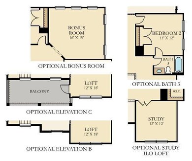 stono options