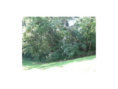 Trees and grass, for your relaxing life