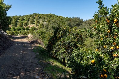 11 Stage Rd, Wildomar, CA 92595 - photo 5