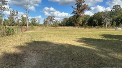 162 Schmidt Ln, Lumber Bridge, NC 28357 - photo 3