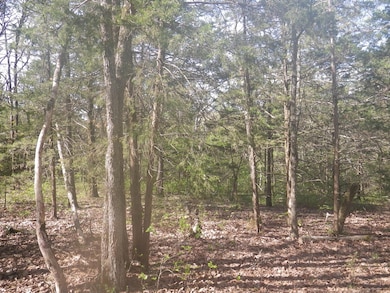 Texas County Missouri