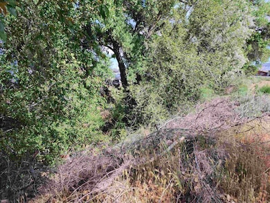 3085 F 1 2 Rd, Grand Junction, CO 81504 - photo 6