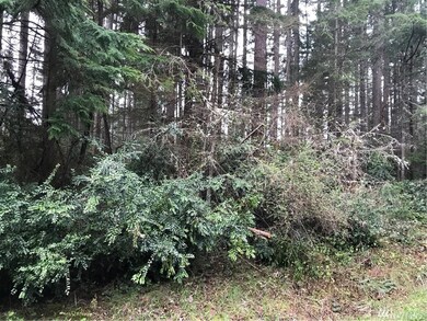 11308 Admiralty Way unit AI, Anderson Island, WA 98303 - photo 4