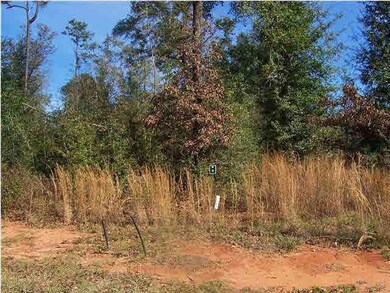 Lot 19 Block N