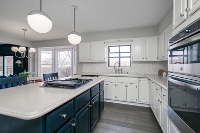 616 Balmoral Cir, Naperville, IL 60540 - photo 6