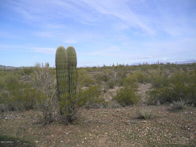 SAGUAROS