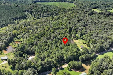 0 Carson Rd unit 7640890, Danielsville, GA 30633 - photo 4