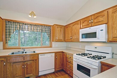 6149 384th Ln, North Branch, MN 55056 - photo 3