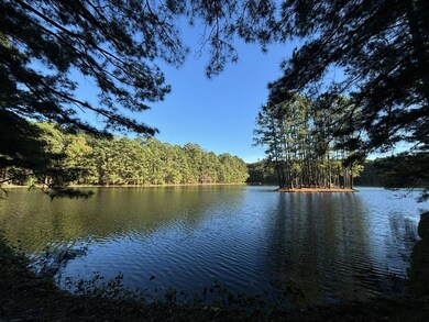 Anderson County Road 445, Brushy Creek, TX 75803 - photo 3