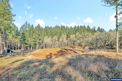 25845 Gap Rd, Brownsville, OR 97327 - photo 6