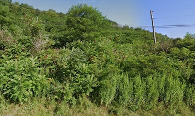 0WP State Hwy 26, Georgetown, NY 13072 - photo 6