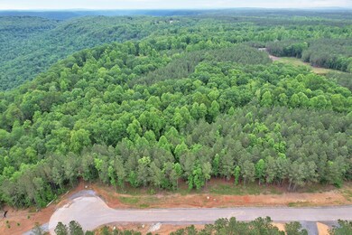 0 Waterwheel Way unit RTC2598432, Jasper, TN 37347 - photo 7