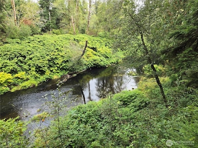 0 NKA Lund Rd, Cosmopolis, WA 98537 - photo 6