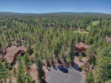 4041 W. Ninebark Torreon Land for Sale 9