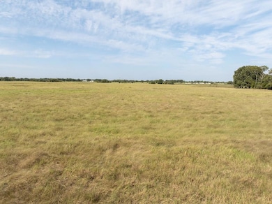 001 County Road 2405, Canton, TX 75103 - photo 5