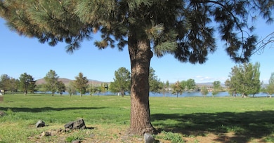 View of the Lake
