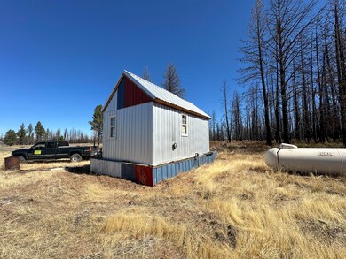 IMG_1517
