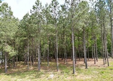 5140 Crockett Point, Jasper, TN 37347 - photo 3