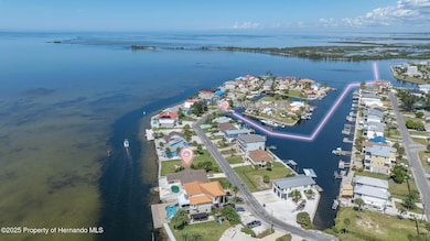 3208 Gulf Winds Cir, Hernando Beach, FL 34607 - photo 5