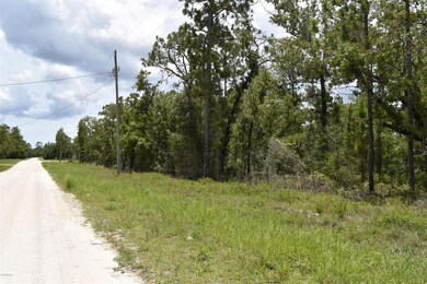 TBD Red Oak Rd unit Lot 193, Perry, FL 32348 - photo 5