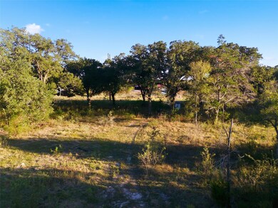 TBD Farm To Market Road 147, Marlin, TX 76661 - photo 6