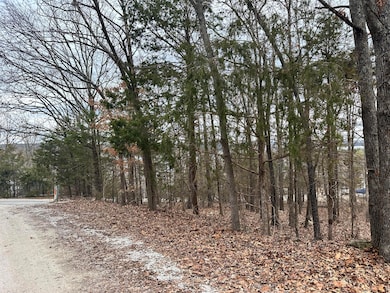 Lot 126 & 127 Mockingbird Ct Ridgedale (