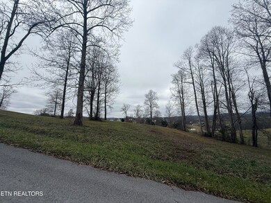 Lot #23 Oak Point Dr, Jonesville, VA 24263 - photo 4