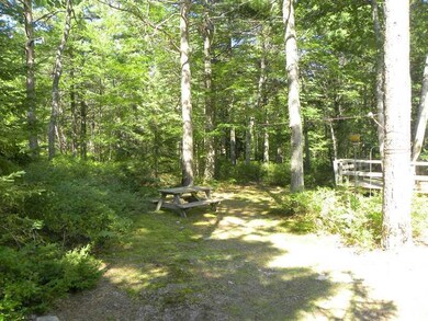 Yard/Garden. ii