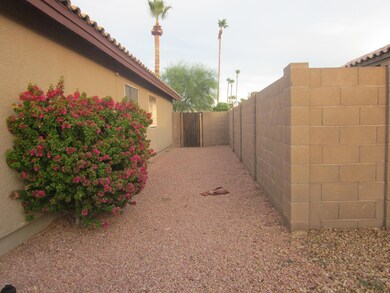 Front Side Yard