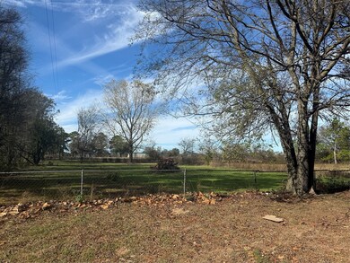 5203 U S 69, Alba, TX 75410 - photo 3